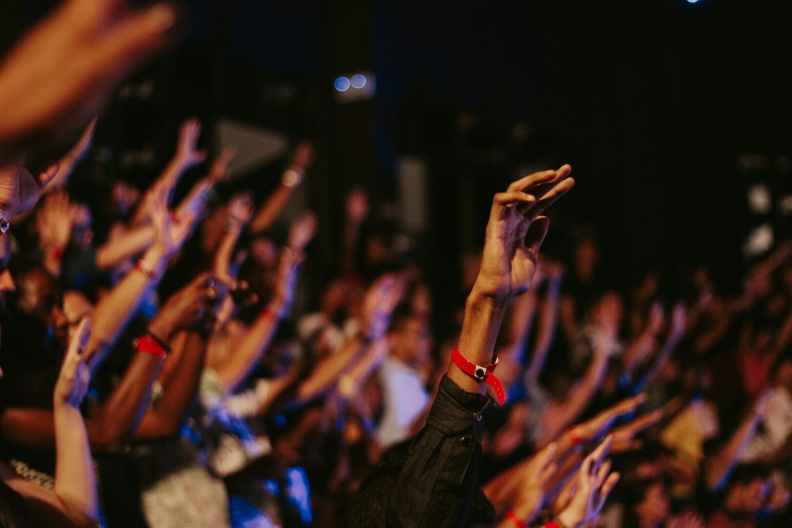 A crowd of people enthusiastically raises their arms, creating a lively and energetic atmosphere.