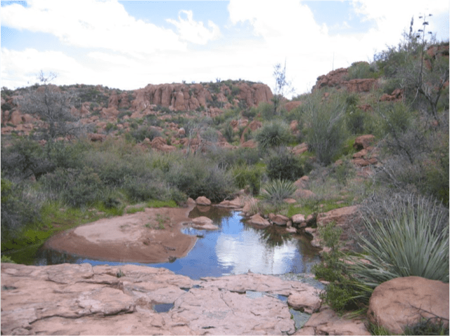 A serene desert landscape features rocky terrain, scattered greenery, and a small reflective water pool under a partly cloudy sky.